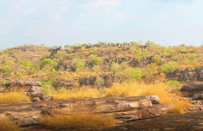 Kakadu